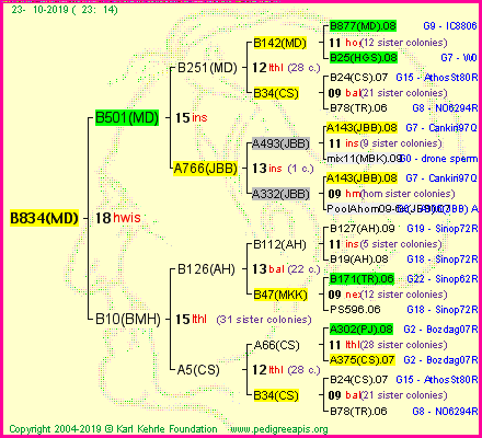 Pedigree of B834(MD) :
four generations presented
it's temporarily unavailable, sorry!