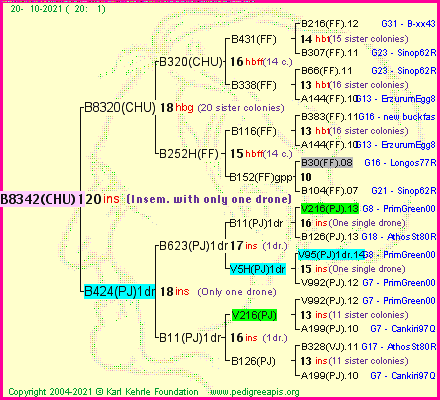 Pedigree of B8342(CHU)1dr :
four generations presented
it's temporarily unavailable, sorry!