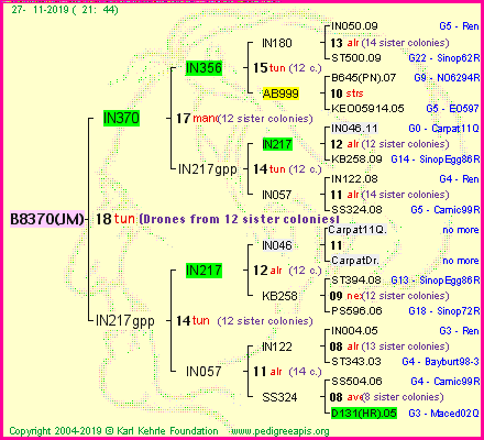 Pedigree of B8370(JM) :
four generations presented<br />it's temporarily unavailable, sorry!