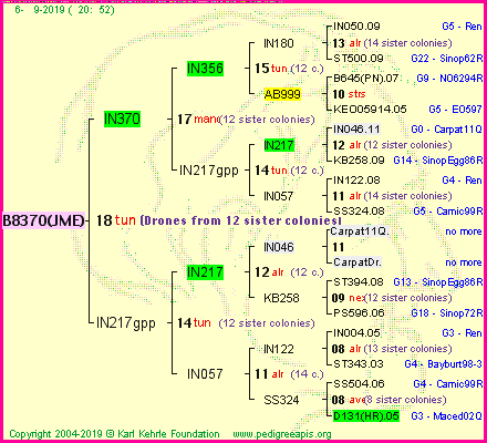 Pedigree of B8370(JME) :
four generations presented<br />it's temporarily unavailable, sorry!