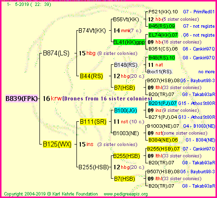 Pedigree of B839(FPK) :
four generations presented<br />it's temporarily unavailable, sorry!