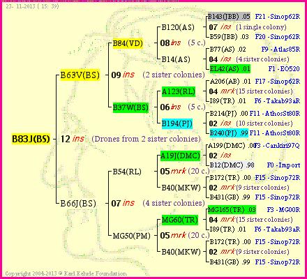 Pedigree of B83J(BS) :
four generations presented