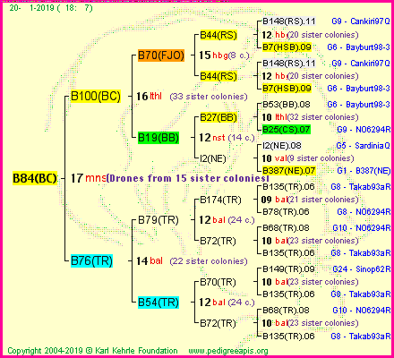 Pedigree of B84(BC) :
four generations presented<br />it's temporarily unavailable, sorry!