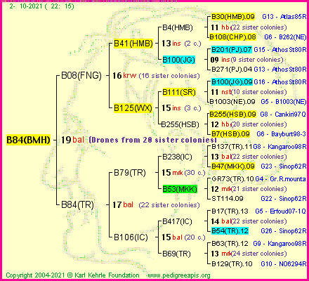 Pedigree of B84(BMH) :
four generations presented
it's temporarily unavailable, sorry!