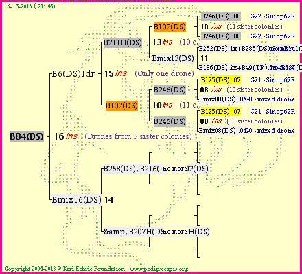 Pedigree of B84(DS) :
four generations presented
it's temporarily unavailable, sorry!