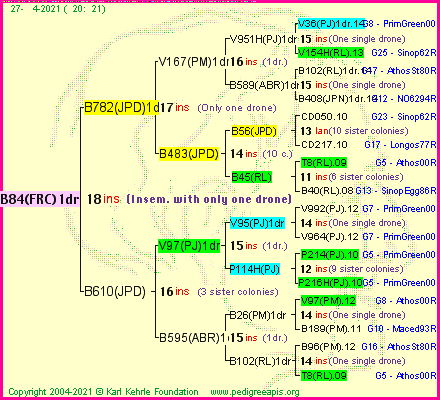 Pedigree of B84(FRC)1dr :
four generations presented
it's temporarily unavailable, sorry!