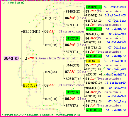 Pedigree of B84(HK) :
four generations presented