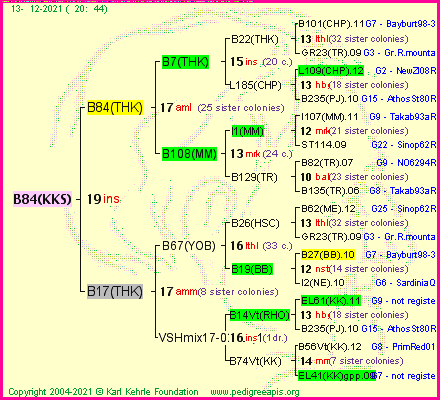 Pedigree of B84(KKS) :
four generations presented
it's temporarily unavailable, sorry!