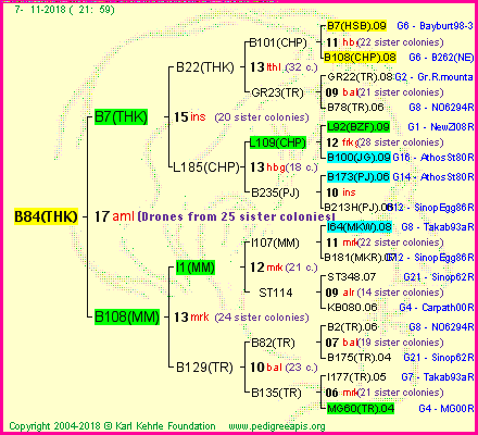 Pedigree of B84(THK) :
four generations presented<br />it's temporarily unavailable, sorry!