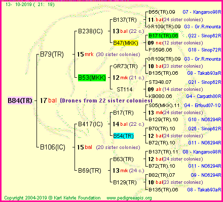 Pedigree of B84(TR) :
four generations presented
it's temporarily unavailable, sorry!