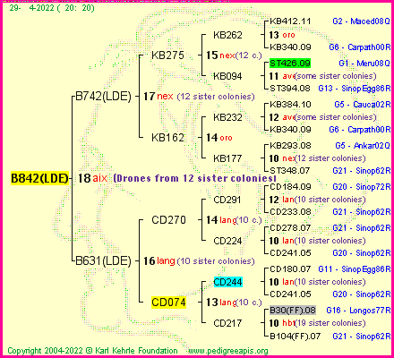 Pedigree of B842(LDE) :
four generations presented
it's temporarily unavailable, sorry!