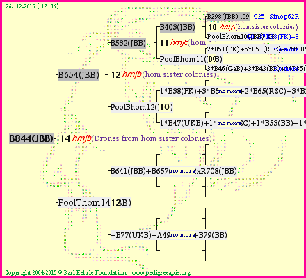 Pedigree of B844(JBB) :
four generations presented