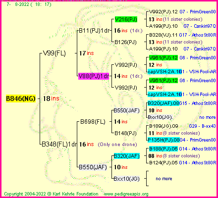 Pedigree of B846(NG) :
four generations presented
it's temporarily unavailable, sorry!