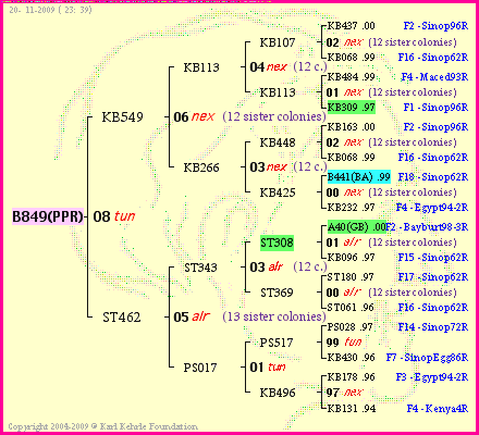 Pedigree of B849(PPR) :
four generations presented