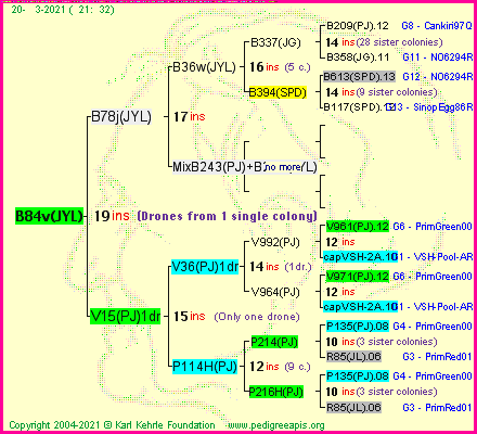 Pedigree of B84v(JYL) :
four generations presented
it's temporarily unavailable, sorry!