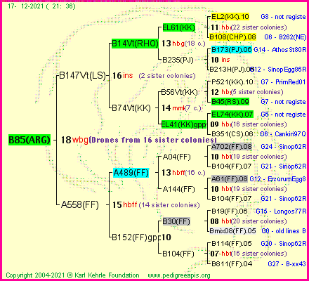 Pedigree of B85(ARG) :
four generations presented
it's temporarily unavailable, sorry!