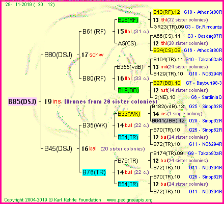 Pedigree of B85(DSJ) :
four generations presented
it's temporarily unavailable, sorry!