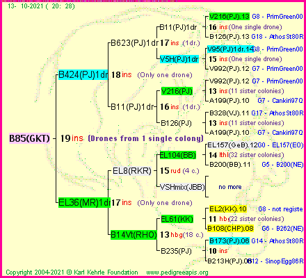 Pedigree of B85(GKT) :
four generations presented
it's temporarily unavailable, sorry!