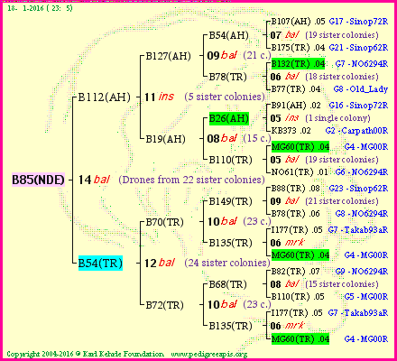 Pedigree of B85(NDE) :
four generations presented<br />it's temporarily unavailable, sorry!