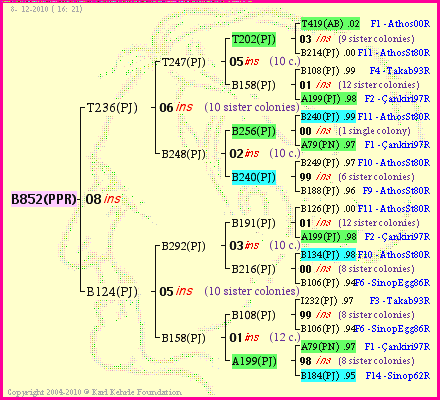 Pedigree of B852(PPR) :
four generations presented