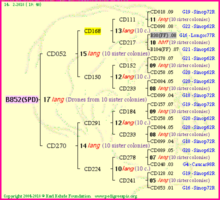 Pedigree of B852(SPD) :
four generations presented