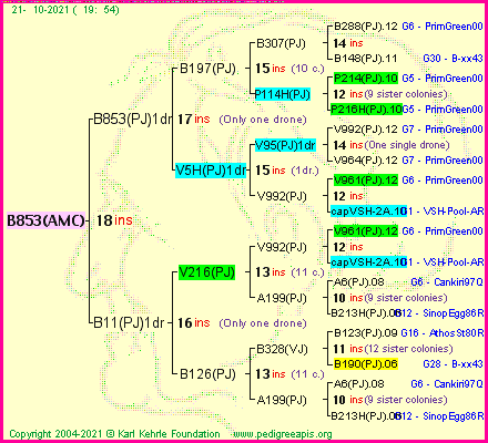 Pedigree of B853(AMC) :
four generations presented
it's temporarily unavailable, sorry!