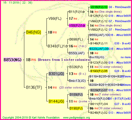 Pedigree of B853(NG) :
four generations presented<br />it's temporarily unavailable, sorry!