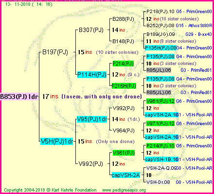 Pedigree of B853(PJ)1dr :
four generations presented
it's temporarily unavailable, sorry!