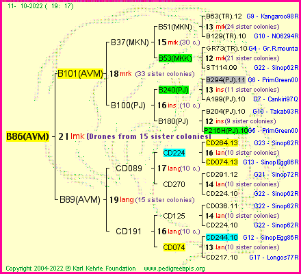 Pedigree of B86(AVM) :
four generations presented
it's temporarily unavailable, sorry!