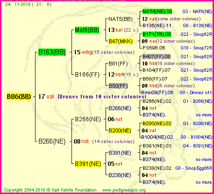 Pedigree of B86(BB) :
four generations presented<br />it's temporarily unavailable, sorry!