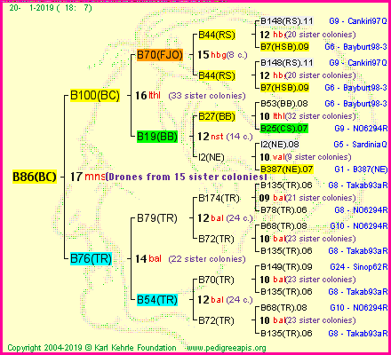 Pedigree of B86(BC) :
four generations presented<br />it's temporarily unavailable, sorry!