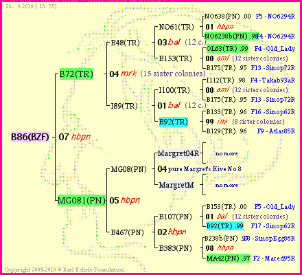 Pedigree of B86(BZF) :
four generations presented