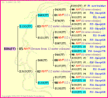 Pedigree of B86(FF) :
four generations presented