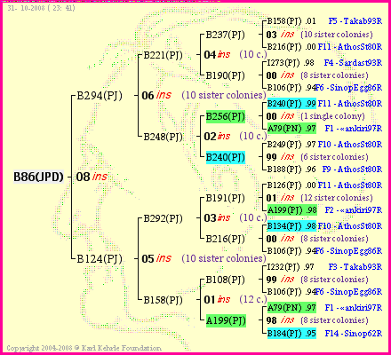 Pedigree of B86(JPD) :
four generations presented