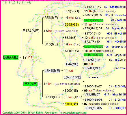 Pedigree of B86(ME) :
four generations presented<br />it's temporarily unavailable, sorry!