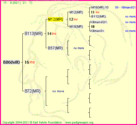 Pedigree of B86(MR) :
four generations presented
it's temporarily unavailable, sorry!