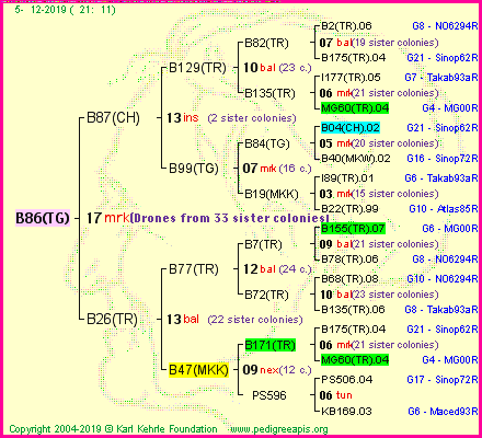 Pedigree of B86(TG) :
four generations presented<br />it's temporarily unavailable, sorry!