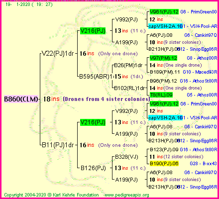 Pedigree of B860(CLM) :
four generations presented<br />it's temporarily unavailable, sorry!