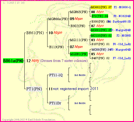 Pedigree of B861a(PN) :
four generations presented