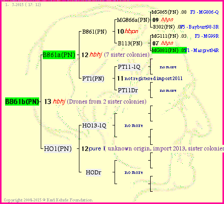 Pedigree of B861b(PN) :
four generations presented