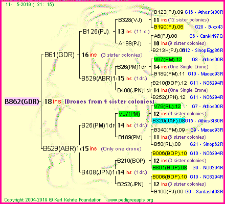 Pedigree of B862(GDR) :
four generations presented<br />it's temporarily unavailable, sorry!