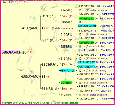 Pedigree of B863(AMC) :
four generations presented
it's temporarily unavailable, sorry!