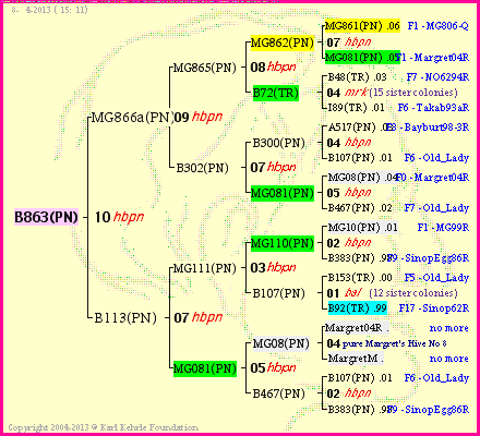 Pedigree of B863(PN) :
four generations presented