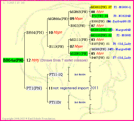 Pedigree of B864a(PN) :
four generations presented