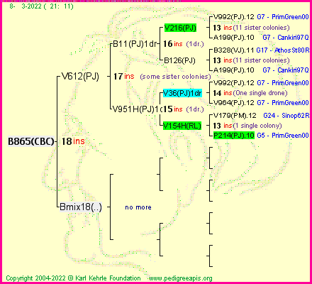 Pedigree of B865(CBC) :
four generations presented
it's temporarily unavailable, sorry!