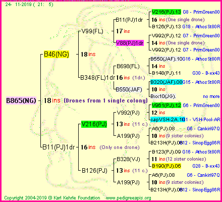 Pedigree of B865(NG) :
four generations presented<br />it's temporarily unavailable, sorry!