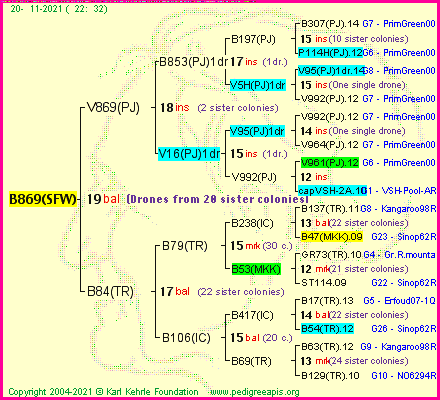 Pedigree of B869(SFW) :
four generations presented
it's temporarily unavailable, sorry!