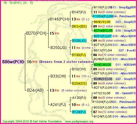 Pedigree of B86w(PCH) :
four generations presented<br />it's temporarily unavailable, sorry!