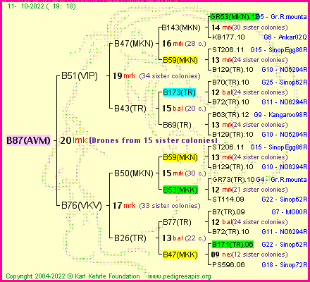 Pedigree of B87(AVM) :
four generations presented
it's temporarily unavailable, sorry!