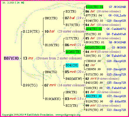 Pedigree of B87(CH) :
four generations presented